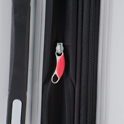 DELSEY Paris Helium Titanium Hardside Luggage with Spinner Wheels