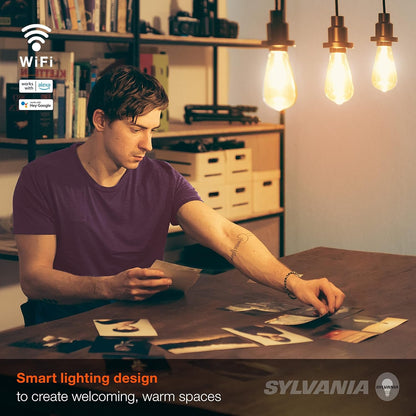 Sylvania WiFi LED Smart ST19 Amber Finish Light Bulb, 3.5W Efficient, for Alexa/Google Assistant, 2000K, No Hub Required - 1 Pack (75802)
