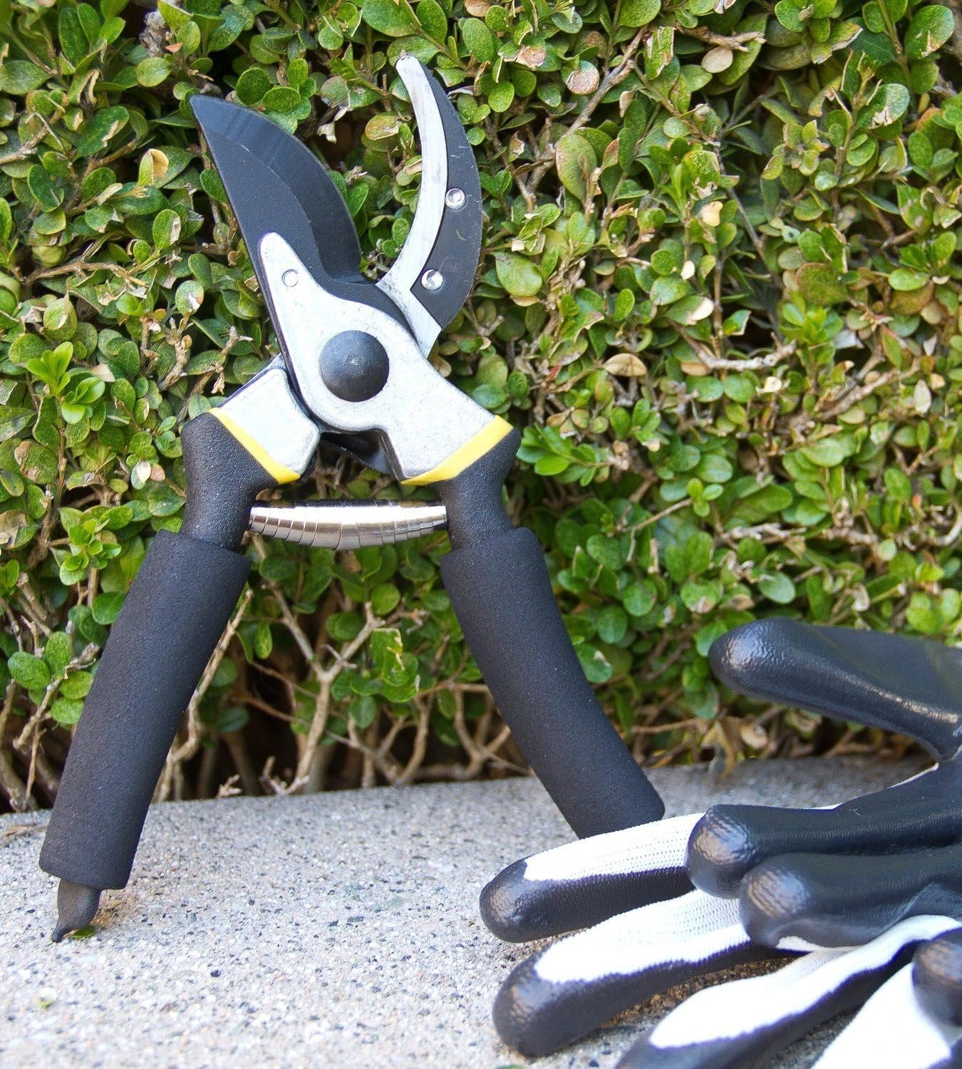 Astorn Premium Bypass Pruning Shears for Gardening - Heavy Duty, Ultra Sharp Garden Shears w/Ergonomic Soft Grip Handle - Made with High Grade Carbon Steel - Ideal for Cutting, Gardening and Trimming