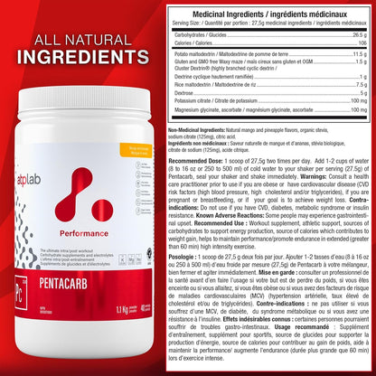 ATP LAB Pentacarb Electrolyte Powder 1.1kg 40 Servings - Mango Pineapple Flavor, Carbohydrate & Electrolyte Supplement for Energy & Endurance, Easy to Mix, Versatile Use for Athletes & Calorie Support