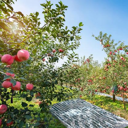 Plant Growth Mylar Films High Reflective Mylar Film Garden Greenhouse Covering Foil Sheets for First Aid Blanket Growth Room Camping Simple Tent,82.6 x 51.2 Inch(6 Pieces)