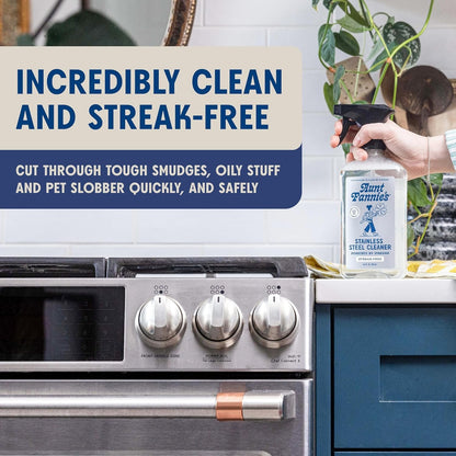 Aunt Fannie's Stainless Steel Spray Cleaner, Powered by Vinegar, Fingerprint and Residue Remover for Refrigerator, Dishwasher, Oven, Grill, Sink, Stovetop, and Other Appliances, Pack of 1