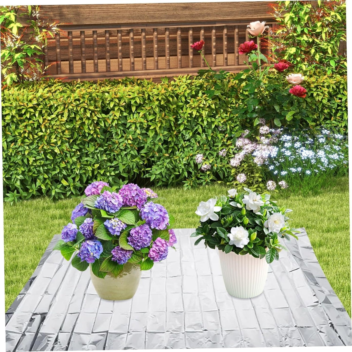 3Pcs Green House Plastic Covering 5x7ft Reflective Greenhouse Plastic Sheeting Tear-Resistant Emergency Blanket for Plants Grow Room Camping Simple Tent