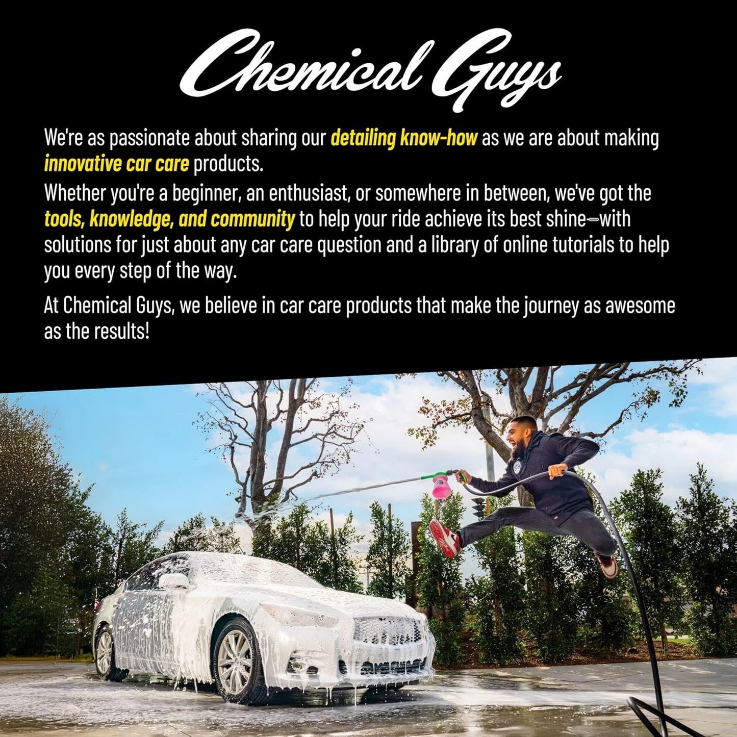 Chemical Guys ACCG08 Wheelie All Exterior Surface and Wheel Brush (Safe for Cars, Trucks, SUVs, RVs, Motorcycles, & More) Green