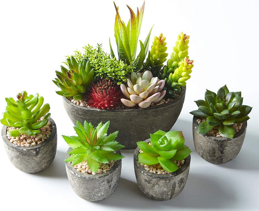 Jobary Set of 5 Artificial Succulent Plants (Includes 10 Plants) Colorful Decorative Fake Plants with Stones Ideal for Home, Office and Outdoor Decoration