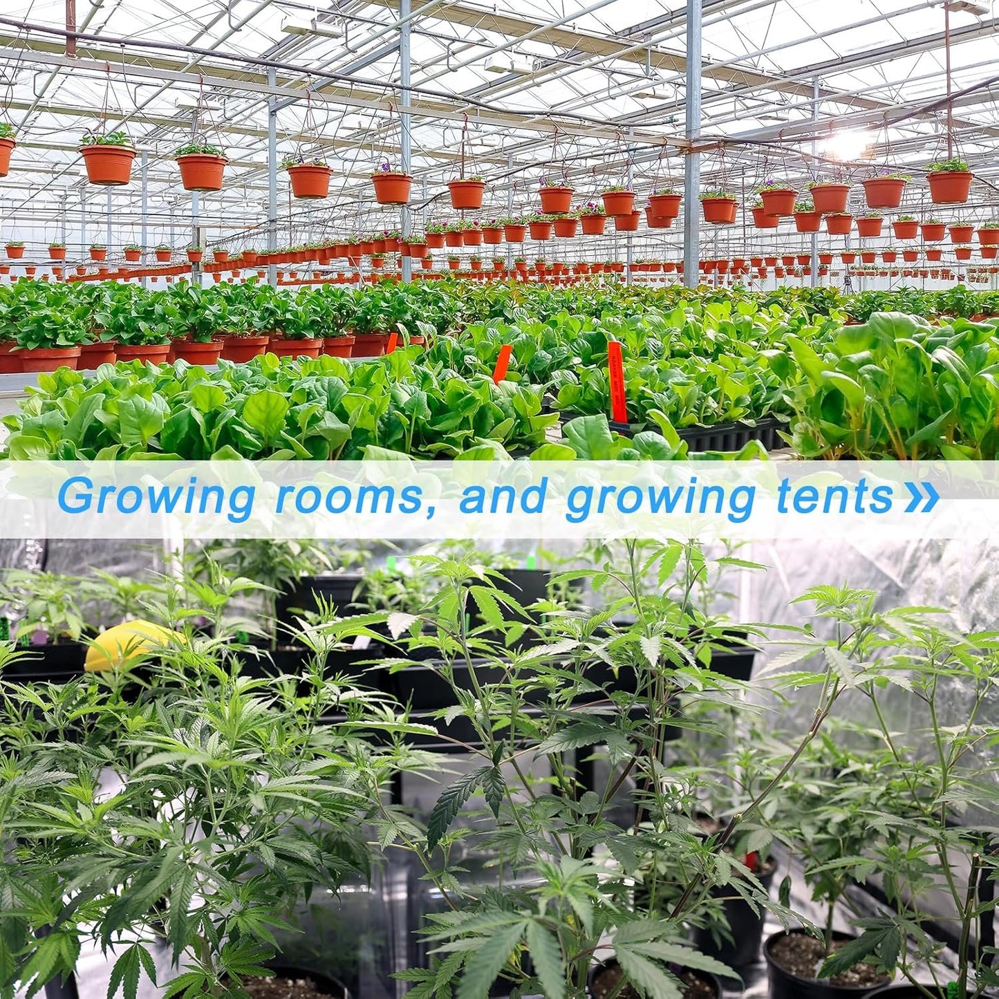 uxcell 2Pcs Highly Reflective PET Film, 82x63-Inch Garden Greenhouse Covering Foil Sheets for First Aid Blanket, Growth Room, Camera Reflector, Tent Outdoor Emergency, Silver