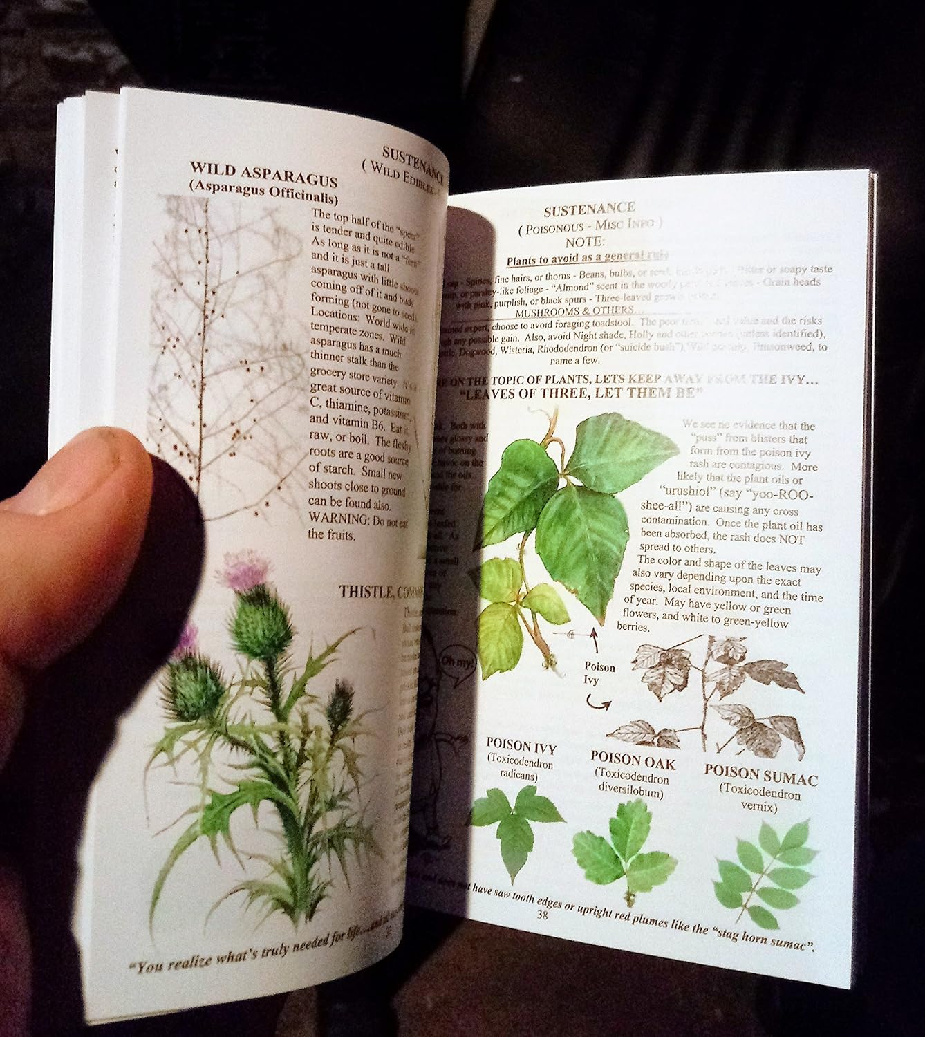 ACW Compact Reference & Field Guide Survival Guide