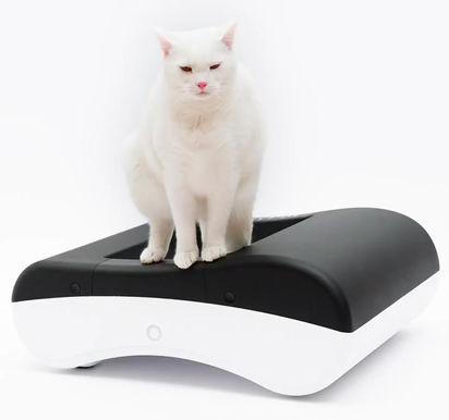 AI-Powered Litter-Free Self-Cleaning Cat Toilet