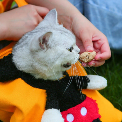 Cat Dog Carrier Bag